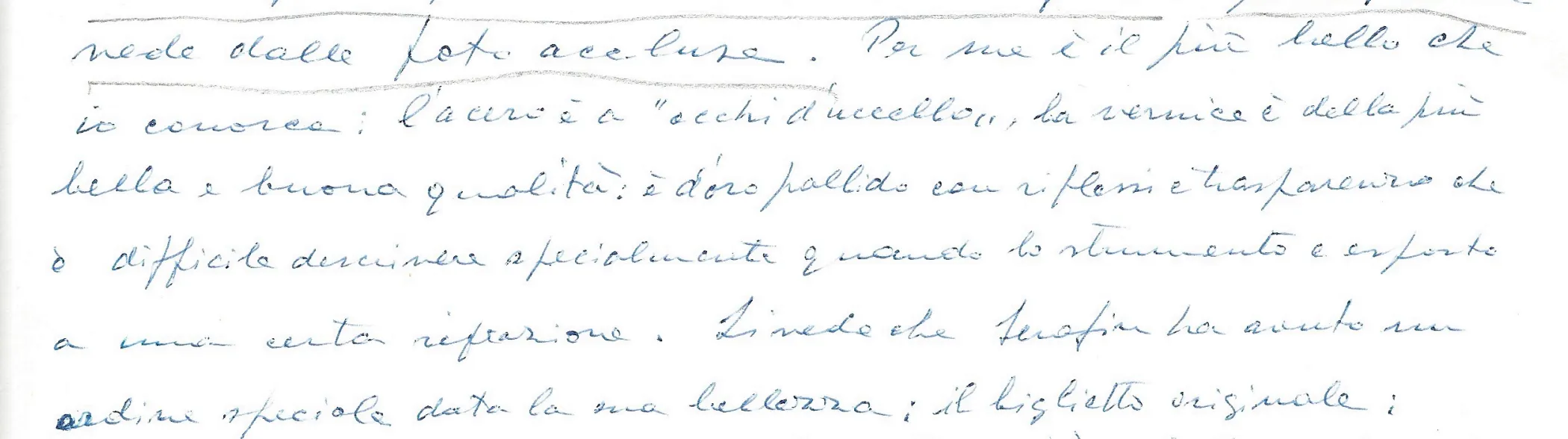 curiosità