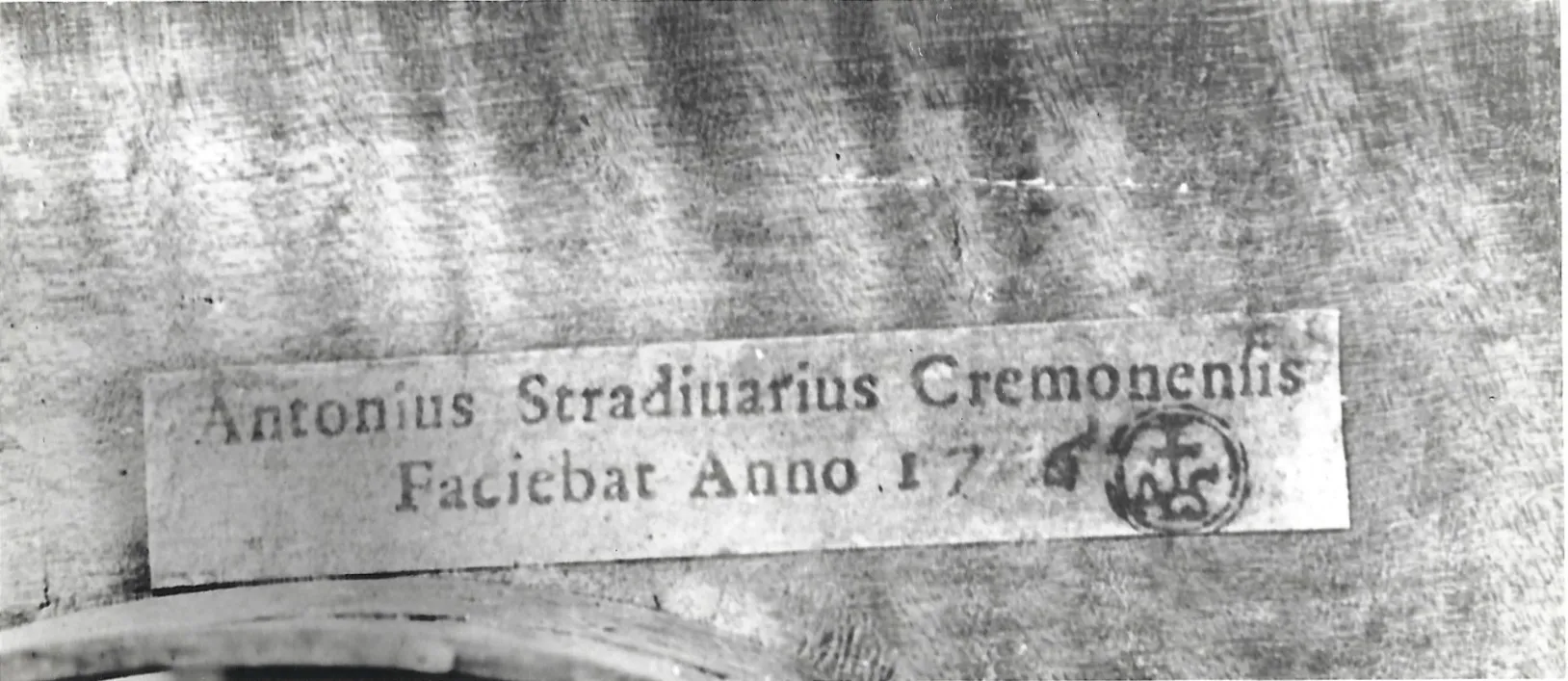 marchio