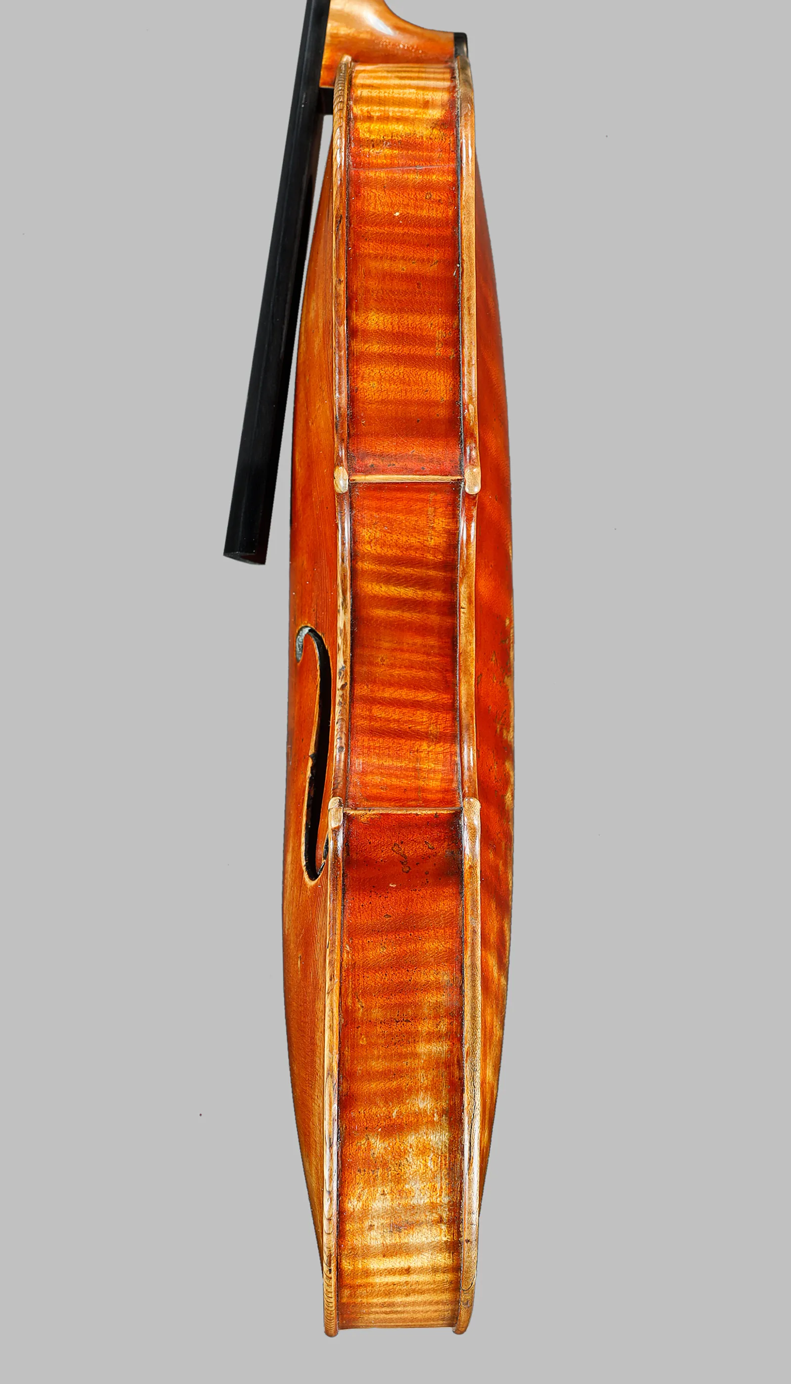 lato bassi