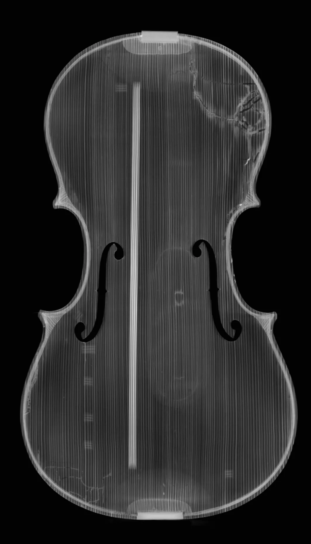 tavola RX