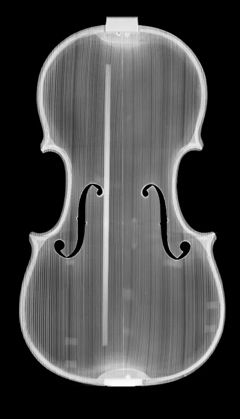 tavola RX