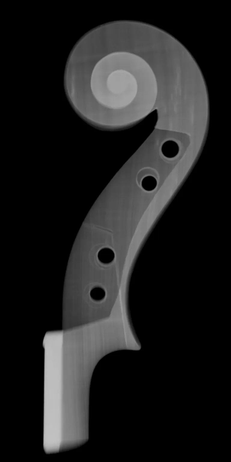 tavola RX