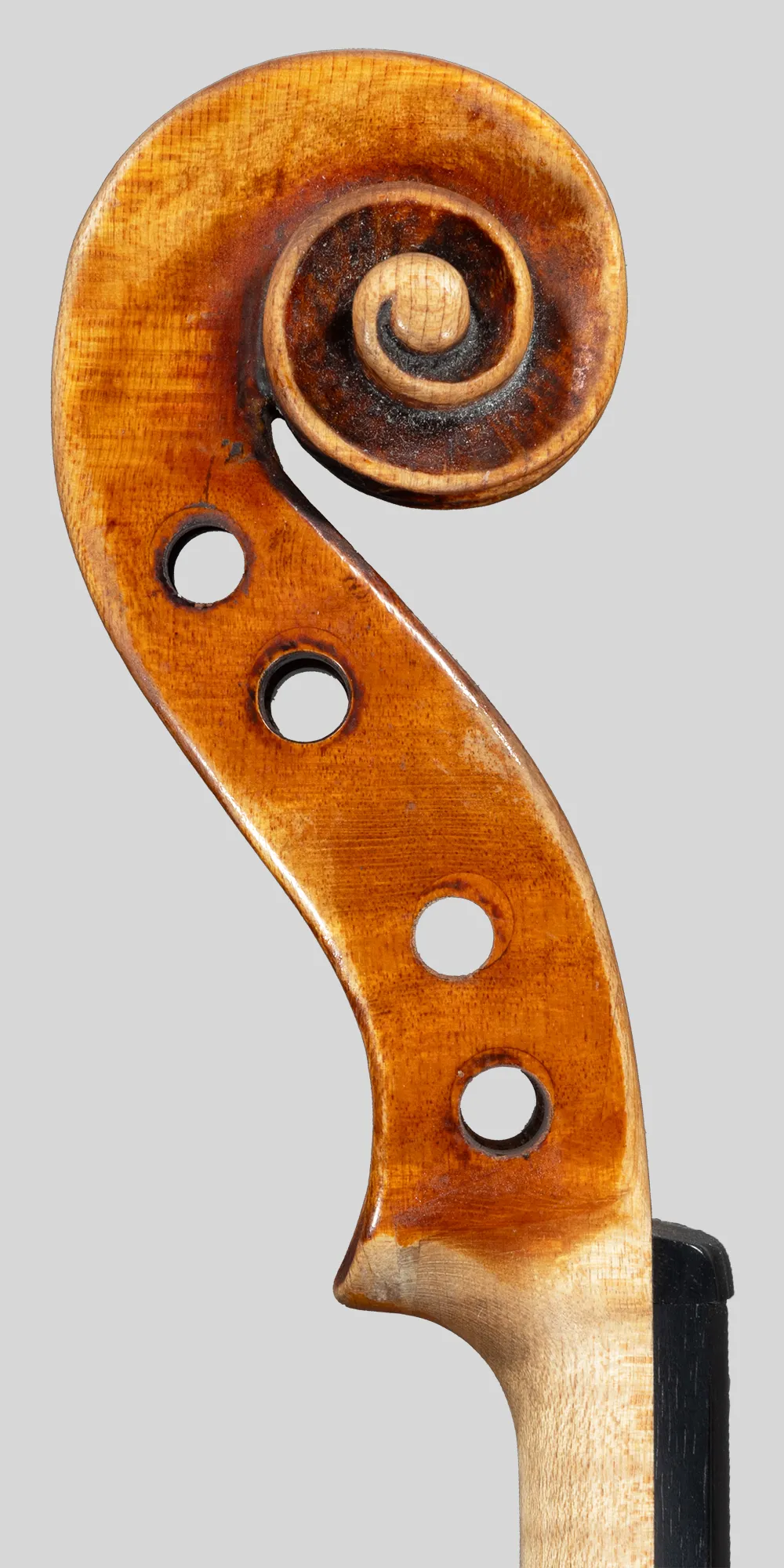 riccio lato acuti